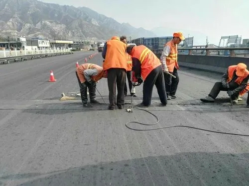 遂溪道路桥梁病害治理